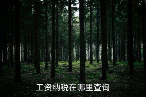 工資納稅在哪里查詢