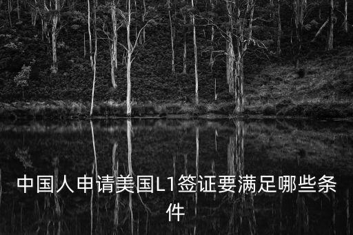 中國人申請美國L1簽證要滿足哪些條件