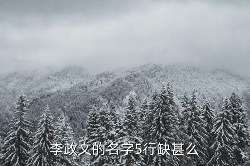 李政文的名字5行缺甚么
