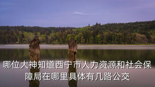 西寧市社保局，青海省西寧市人力資源和社會(huì)保障局