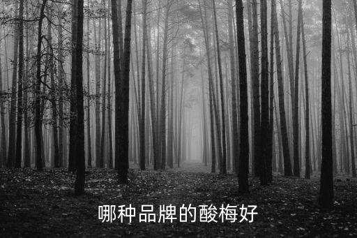 哪種品牌的酸梅好
