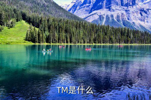 TM是什么
