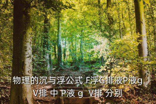 物理的沉與浮公式 F浮G排液P液gV排 中 P液 g  V排 分別