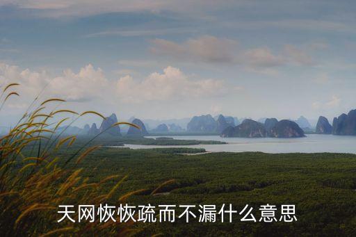 天網(wǎng)恢恢疏而不漏什么意思