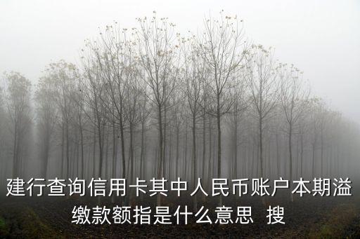 什么叫溢繳款，建行查詢信用卡其中人民幣賬戶本期溢繳款額指是什么意思  搜