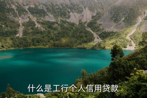 工商銀行信用貸，什么是工行個(gè)人信用貸款