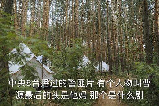 中央8臺播過的警匪片 有個人物叫曹源最后的頭是他媽 那個是什么劇