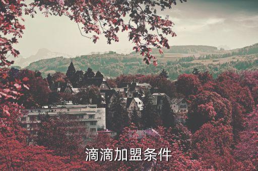滴滴加盟條件