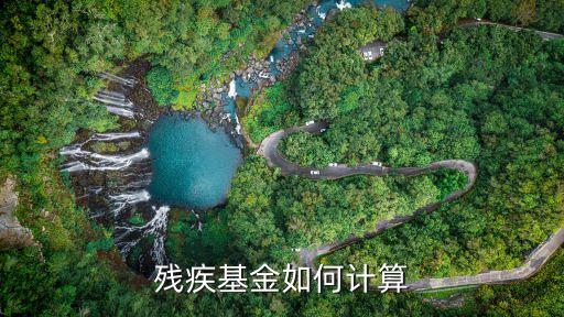 殘保金計算，公司就一個人工資是800元月請問交多少殘保金