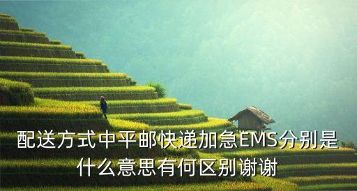 加急快遞，快遞加急有什么用