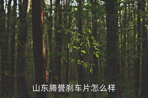 騰譽(yù)，湖北騰譽(yù)隨車吊咋樣
