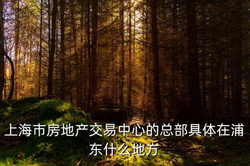 上海市房地產(chǎn)交易中心的總部具體在浦東什么地方