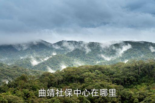 社保中心，2016年昆明地稅和社保中心有聯(lián)網了嗎
