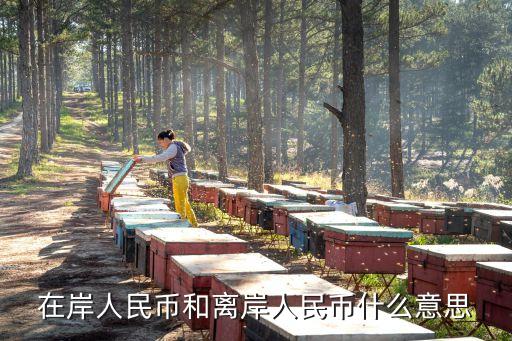 離岸，在岸人民幣和離岸人民幣什么意思