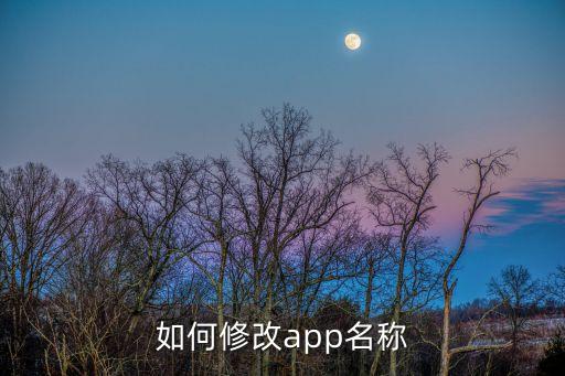 怎么改應用名字，怎么修改軟件名字