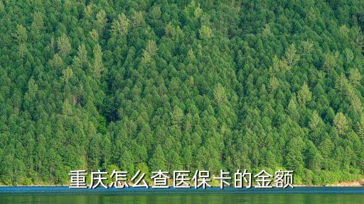 重慶醫(yī)保查詢，重慶怎么查醫(yī)?？ǖ慕痤~
