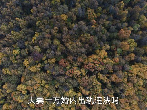 婚內(nèi)婚外，婚內(nèi)出軌可以判刑嗎