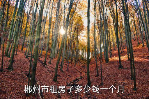 郴州租房，郴州市租房子多少錢一個月