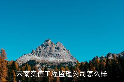 監(jiān)理公司，云南實信工程監(jiān)理公司怎么樣