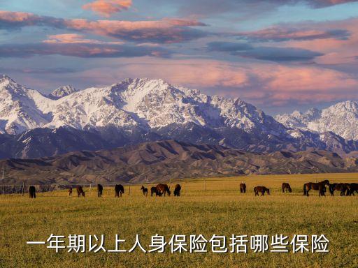 財政部94號令，財政部新規(guī)定減按1稅率征收契稅是什么意思