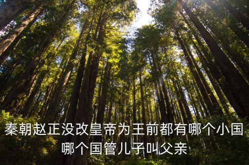 秦朝趙正沒改皇帝為王前都有哪個(gè)小國(guó)哪個(gè)國(guó)管兒子叫父親