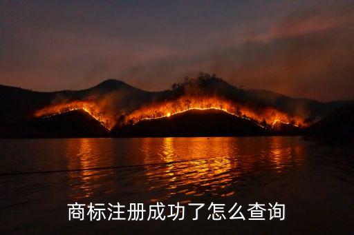 商標注冊成功了怎么查詢