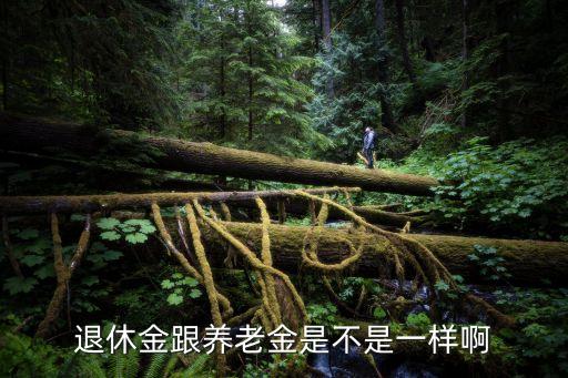 退休金和養(yǎng)老金，退休金 和 養(yǎng)老金 是同一個東西嗎
