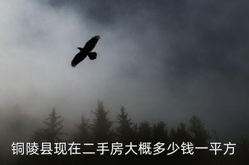 銅陵縣現(xiàn)在二手房大概多少錢一平方