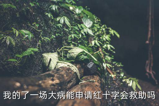 紅十字會(huì)大病救助，我的了一場(chǎng)大病能申請(qǐng)紅十字會(huì)救助嗎