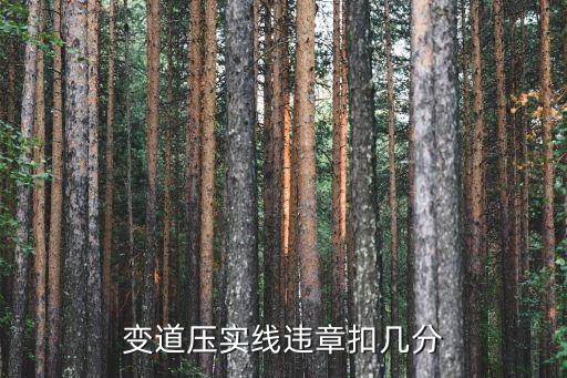 壓實線變道扣幾分，變道壓實線違章扣幾分