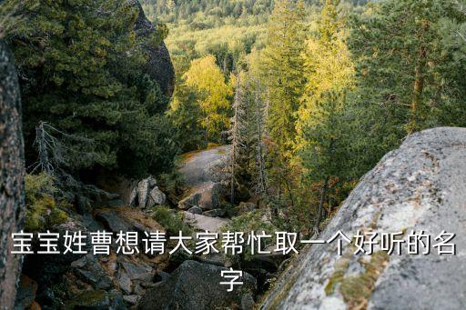 寶寶姓曹想請大家?guī)兔θ∫粋€好聽的名字