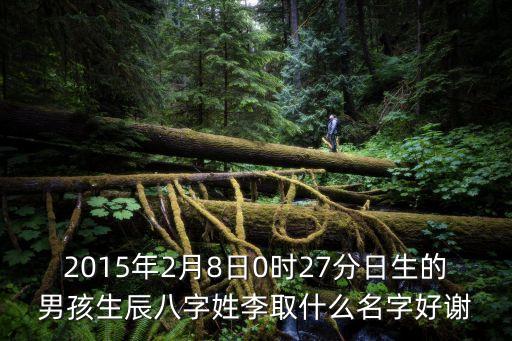 2015年2月8日0時(shí)27分日生的男孩生辰八字姓李取什么名字好謝