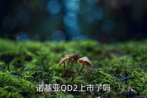 諾基亞QD2上市了嗎