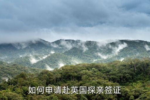 如何申請(qǐng)赴英國(guó)探親簽證