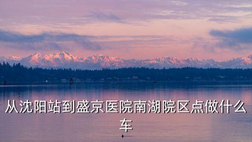 從沈陽(yáng)站到盛京醫(yī)院南湖院區(qū)點(diǎn)做什么車