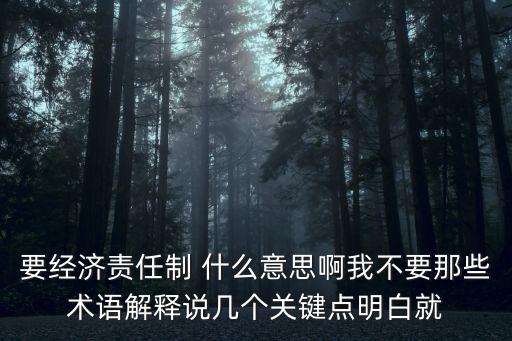 經(jīng)濟(jì)責(zé)任制，要經(jīng)濟(jì)責(zé)任制 什么意思啊我不要那些術(shù)語(yǔ)解釋說(shuō)幾個(gè)關(guān)鍵點(diǎn)明白就