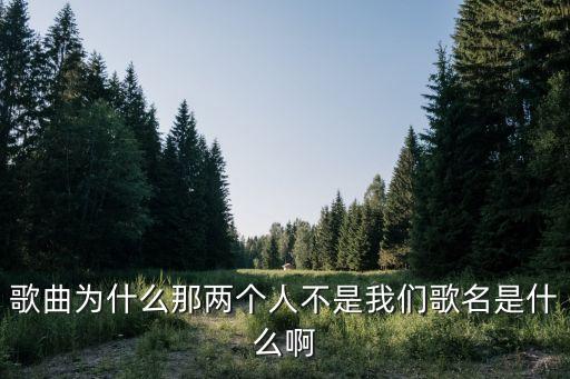 歌曲為什么那兩個(gè)人不是我們歌名是什么啊