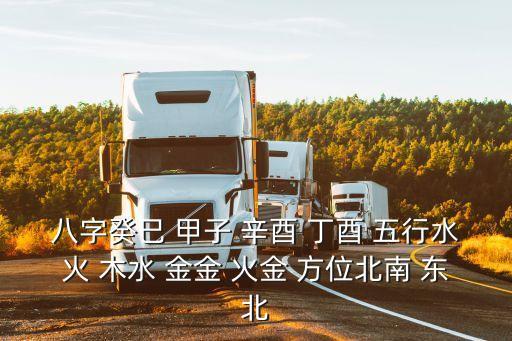 八字癸巳 甲子 辛酉 丁酉 五行水火 木水 金金 火金 方位北南 東北