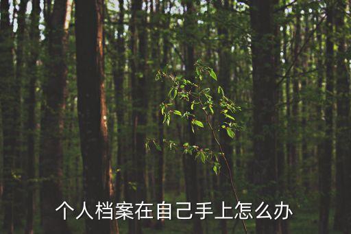 人事檔案在自己手里，檔案在自己手里