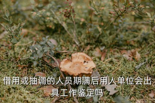借用或抽調(diào)的人員期滿后用人單位會出具工作鑒定嗎
