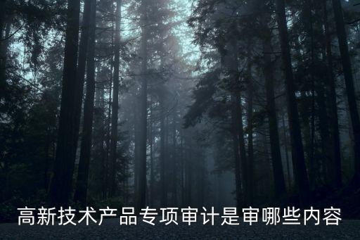 高新技術(shù)產(chǎn)品專(zhuān)項(xiàng)審計(jì)是審哪些內(nèi)容