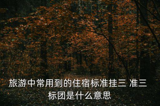 住宿標(biāo)準(zhǔn)，二類會(huì)議的住宿費(fèi)標(biāo)準(zhǔn)是每人每天多少元