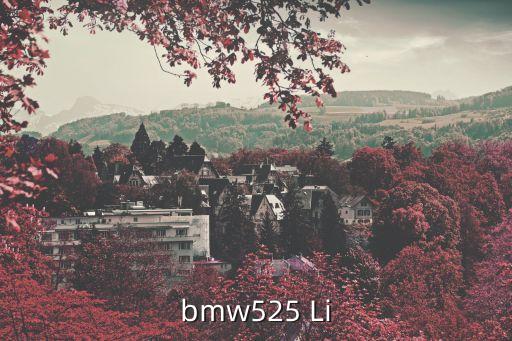 寶馬s25li，bmw525 Li