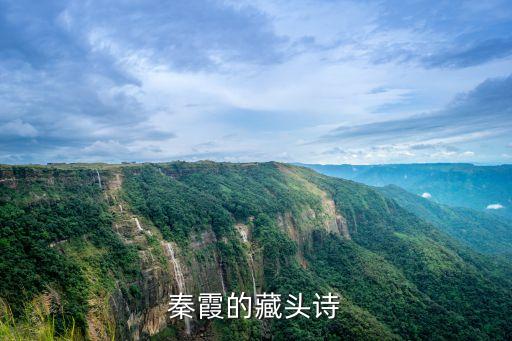秦霞，用四磊和秦霞這兩個(gè)名字作一首情詩要有情調(diào)的不會(huì)的就別嚇編了