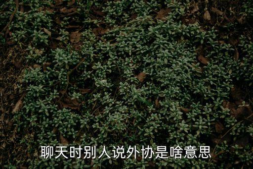 外協(xié)，聊天時(shí)別人說(shuō)外協(xié)是啥意思