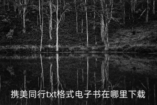 攜美同行，攜美同行txt格式電子書在哪里下載