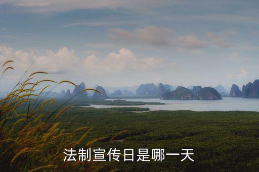 法制宣傳日是哪一天