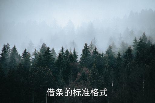 借條的標(biāo)準(zhǔn)格式