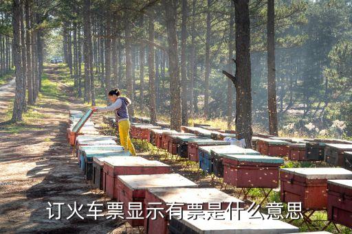 有票，12306預(yù)訂上顯示有票是有多少張