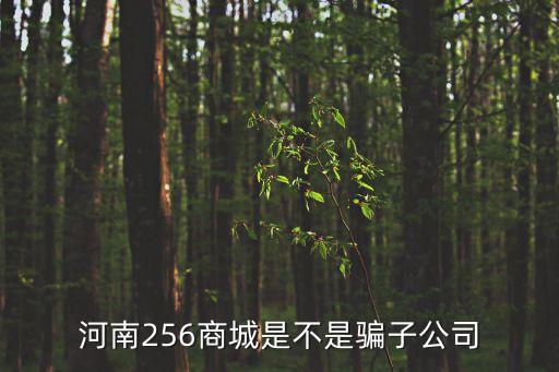 256商城，256上網(wǎng)導(dǎo)航首頁(yè)